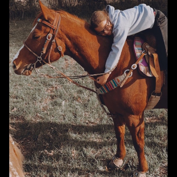 Meet your Posher, Presley - Picture 1 of 1